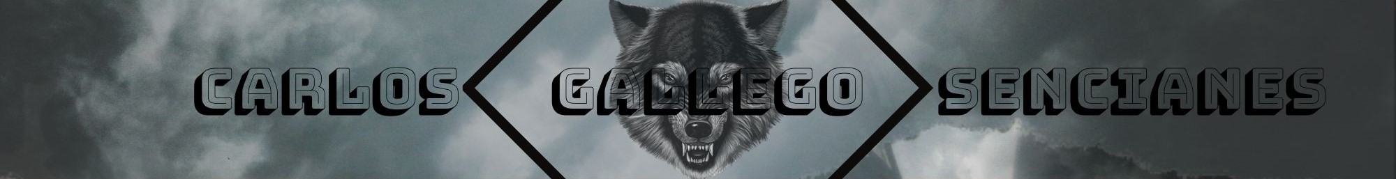 Carlos Gallego Sencianes